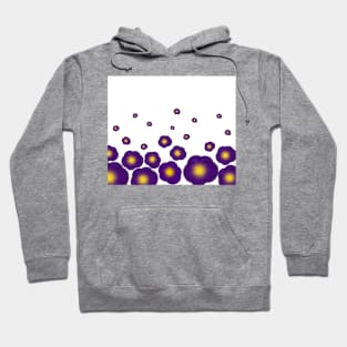 Ombré pansy design Hoodie